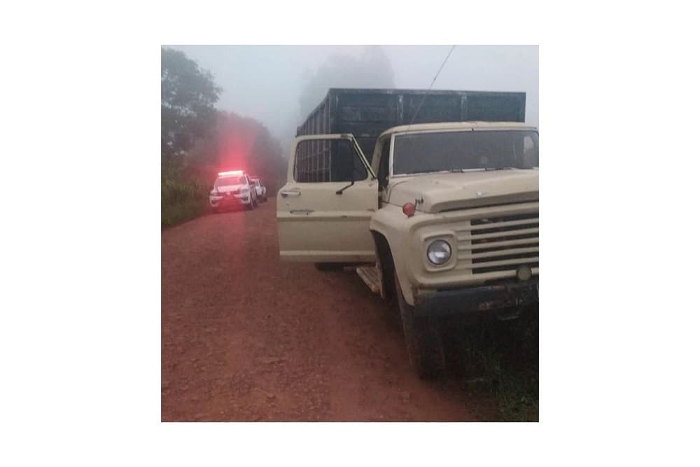 Polícia apreende agrotóxicos contrabandeados em Bom Progresso e Tenente Portela