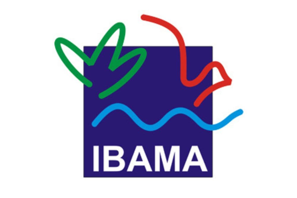 Ibama abre concurso com 460 vagas e salários de quase R$ 10 mil
