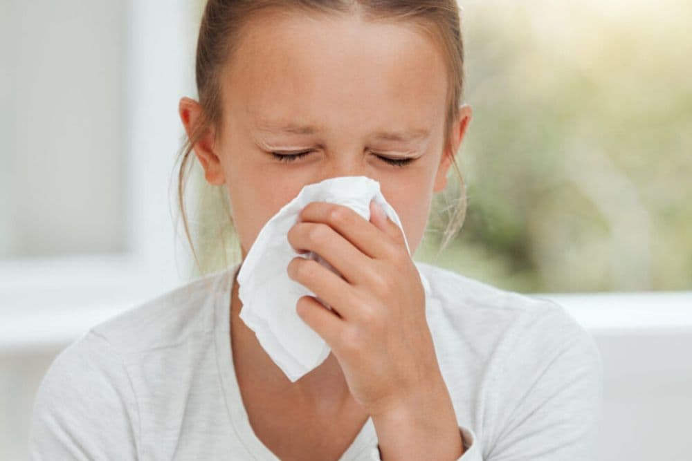 HCI conduz estudo clínico para crianças com rinite alérgica