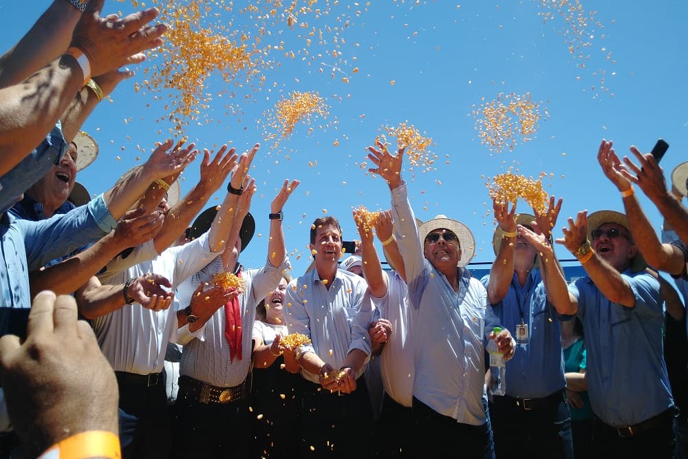 Mapa deve lançar linha de crédito de quase US$ 5 bi para auxiliar produtor com o custeio