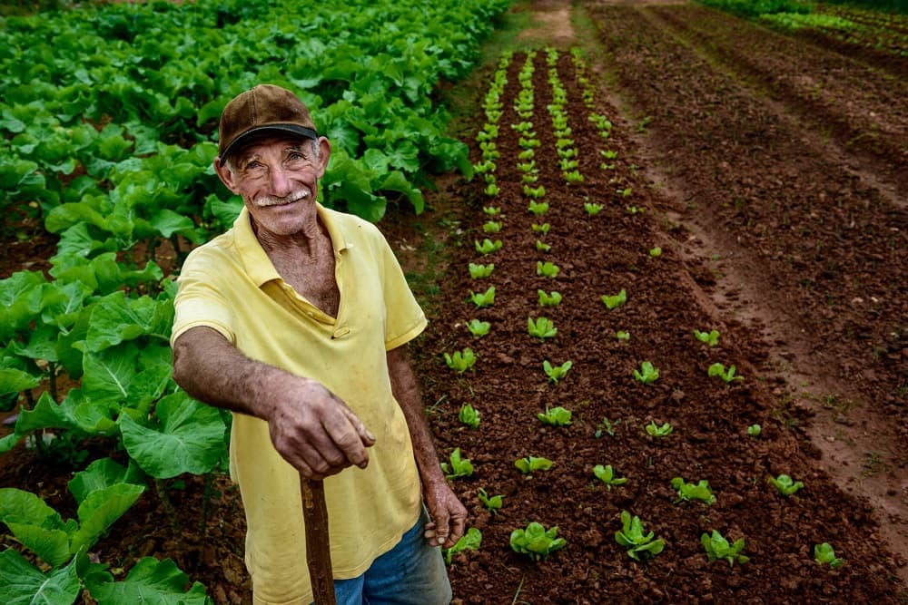 Aposentadoria por idade rural passa a ter análise automática