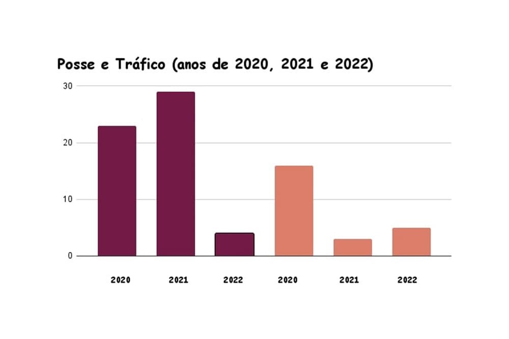 Pesquisa traça perfil dos investigados por posse e tráfico de drogas em Santo Augusto