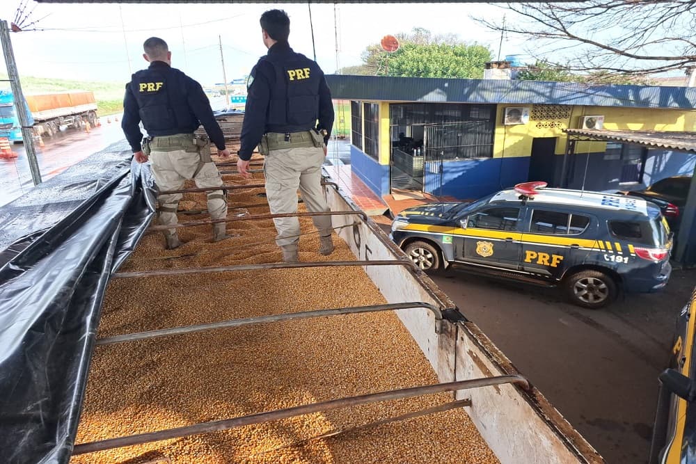 PRF apreende carreta com uma tonelada de maconha escondida no meio de carga de milho