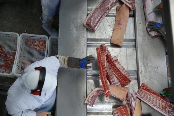 Em conquista histórica, RS é reconhecido pela OIE como zona livre de aftosa sem vacinação