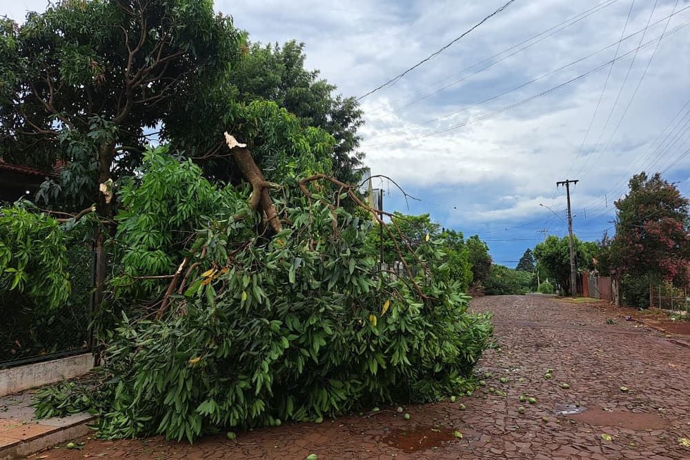 Vento causa estragos em Santo Augusto