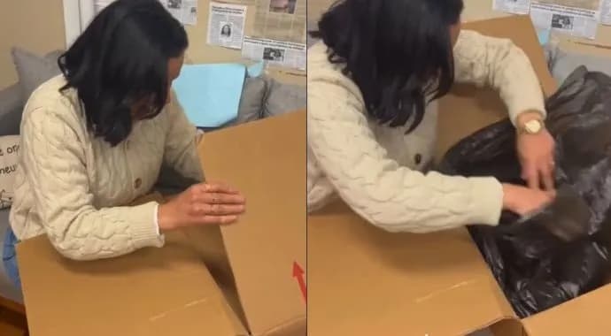Vereadora da causa animal em Novo Hamburgo denuncia recebimento de cão morto em gabinete