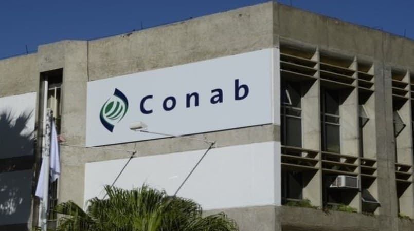 Conab analisa o benefício das chuvas nos cultivos de inverno e na semeadura da safra de verão