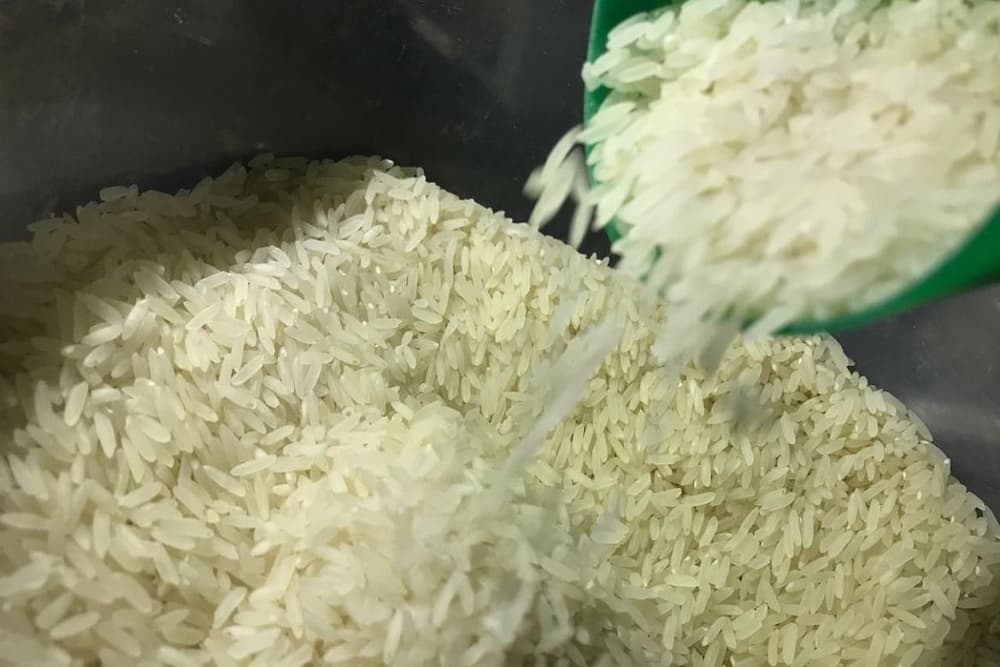 Imposto de Importação para o arroz ficará zerado até o fim do ano
