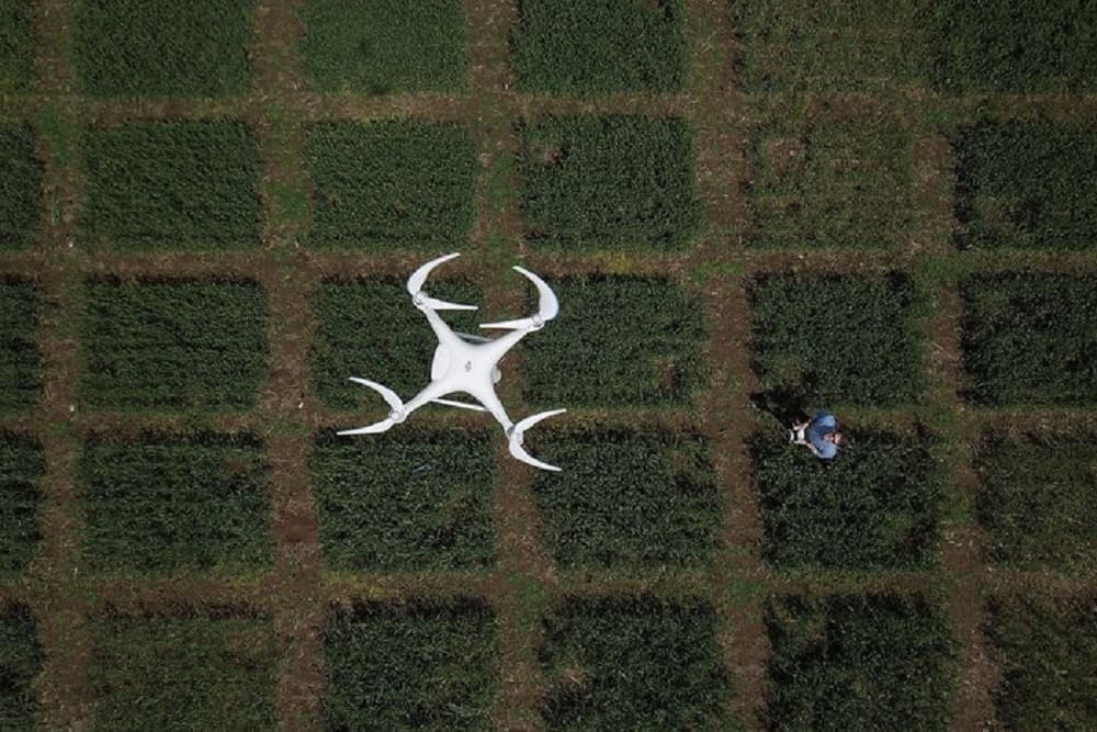 Projeto pode proibir pulverização por aeronaves no Rio Grande do Sul