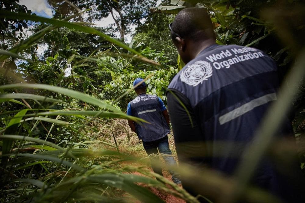 OMS investiga aglomerado de doenças misteriosas no Congo; veja o que se sabe