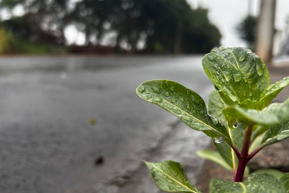 Rio Grande do Sul segue sob alerta de chuva forte e temporais nesta quarta-feira