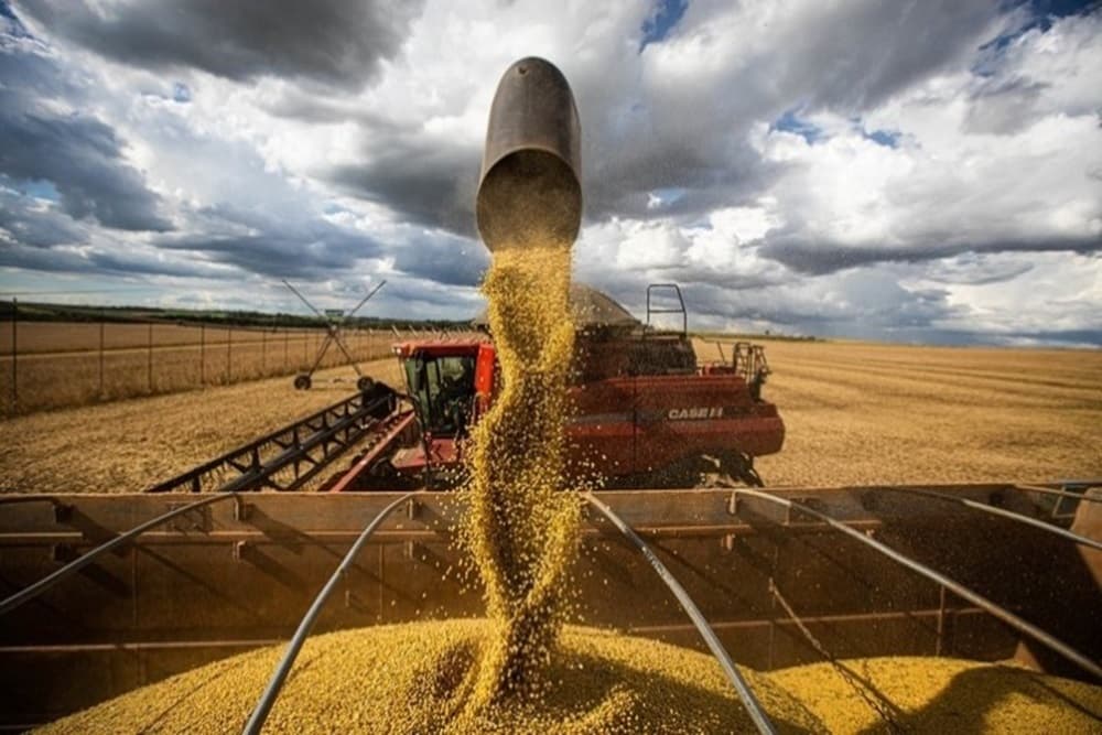 Conab estima maior produção de grãos da história para o RS