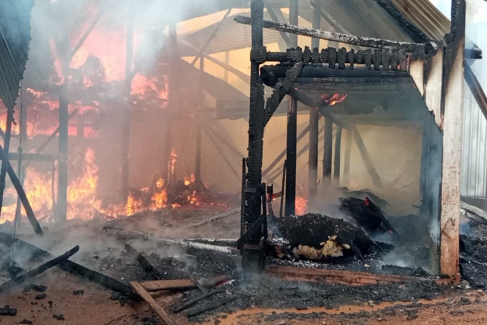 Mais de 20 vacas e 60 suínos morrem após incêndio em Nova Candelária