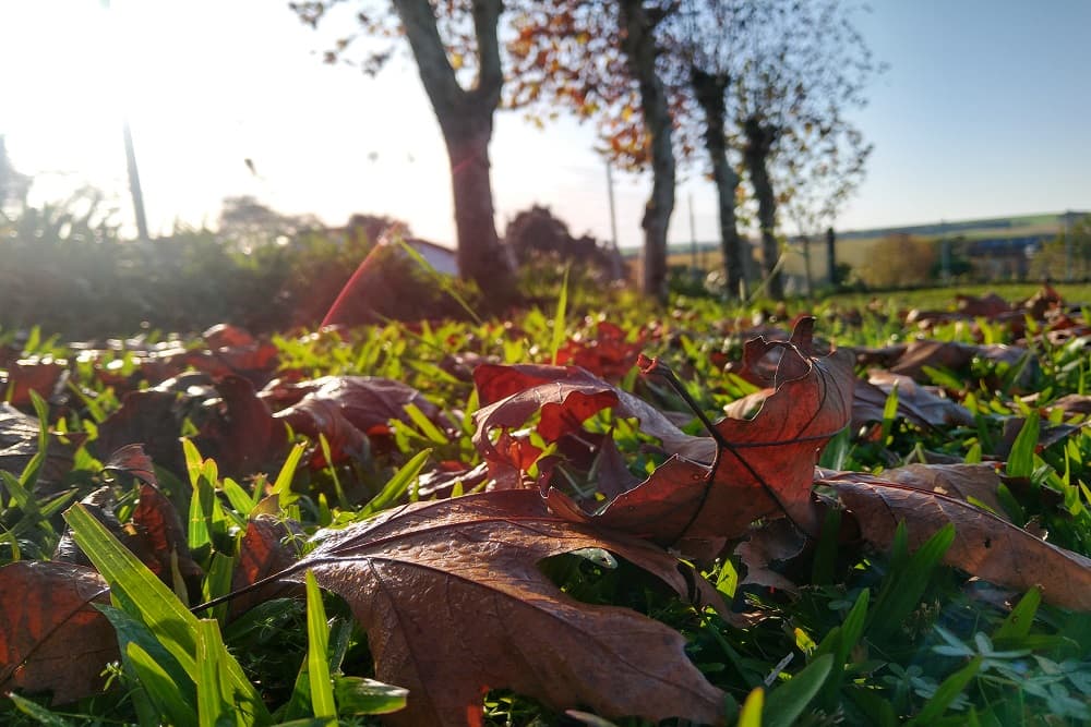 Vem aí uma sequência de dias de muito frio