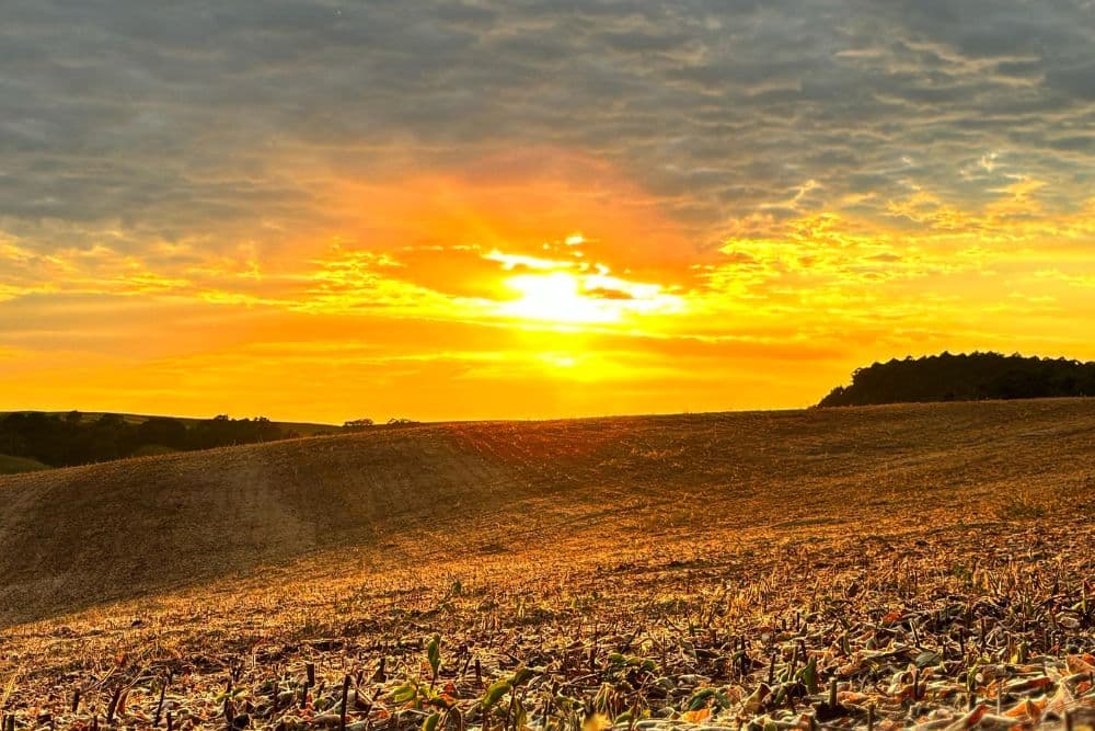Alerta de temporal, chuva forte e tempo abafado: como fica a previsão no RS nesta terça-feira