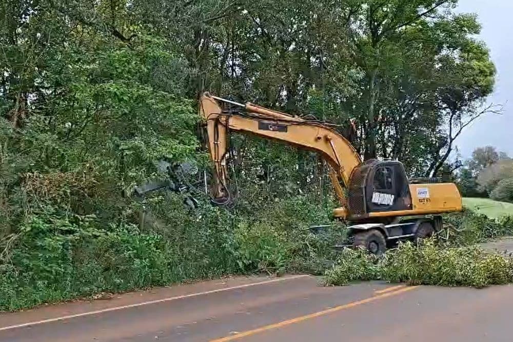 Poda de árvores na ERS-155 busca aumentar a segurança entre Santo Augusto e Ijuí