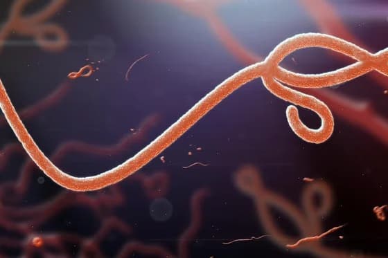 RS investiga caso suspeito de ebola