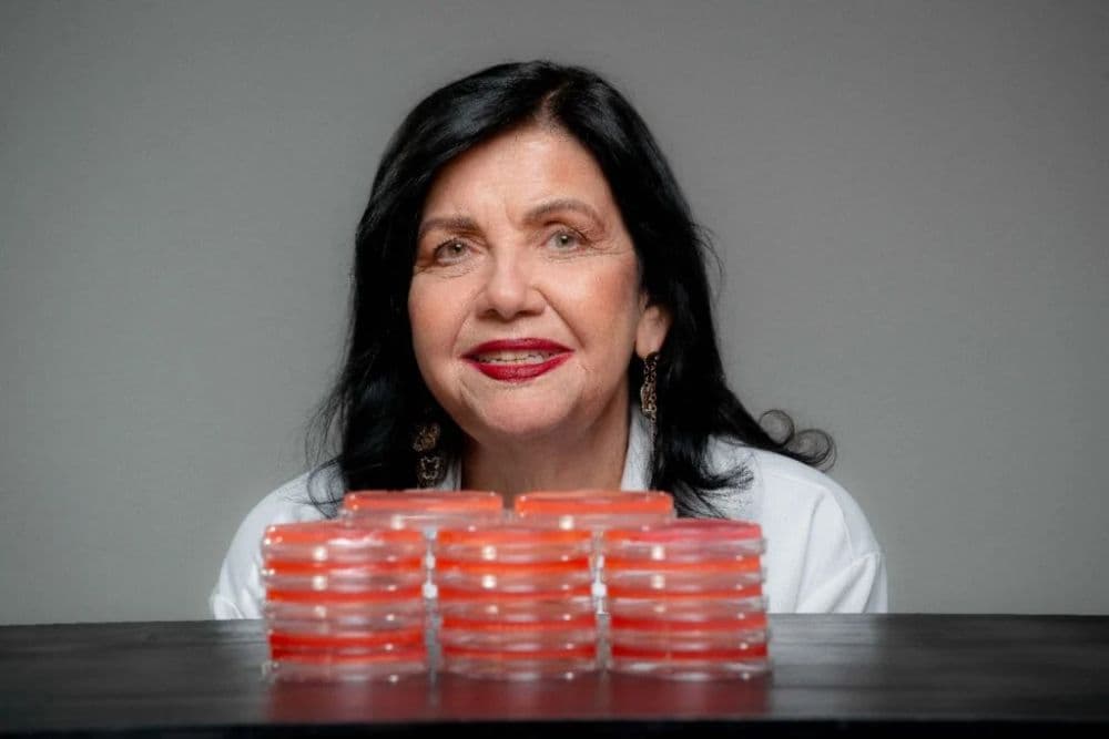 Mariangela Hungria é a primeira brasileira a ganhar o 'Nobel da agricultura'