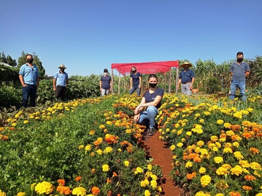 Expoagro Cotricampo: contagem regressiva para a feira em Campo Novo
