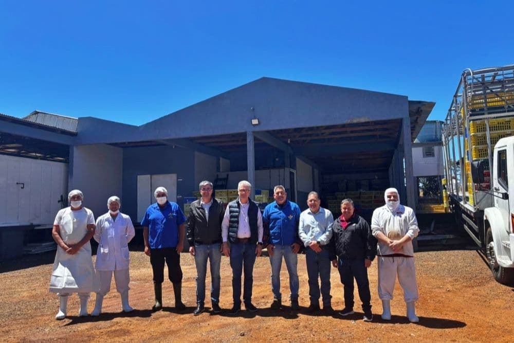 Pro-aves inicia operação de abate de aves em fase de testes em Palmeira das Missões