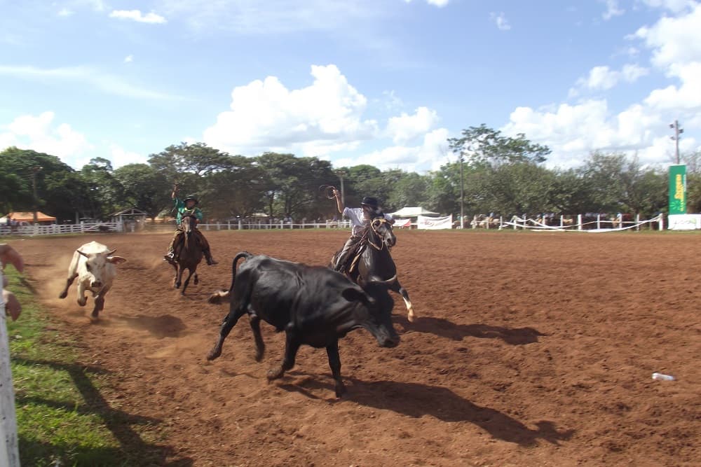Deputado anuncia projeto para proibir rodeios no RS