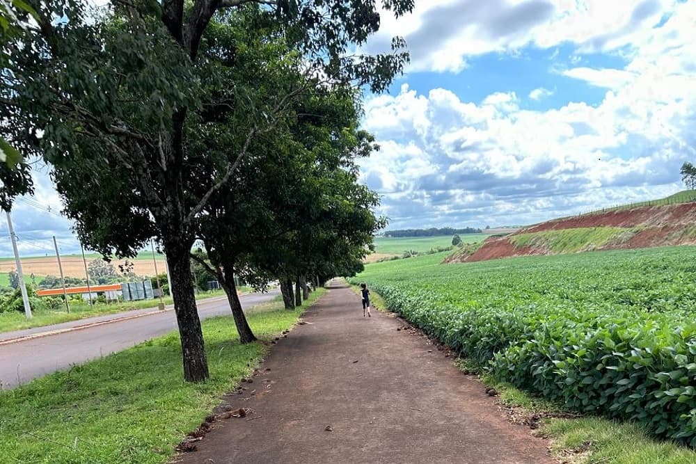 Quarta-feira será de sol e tempo firme em Santo Augusto