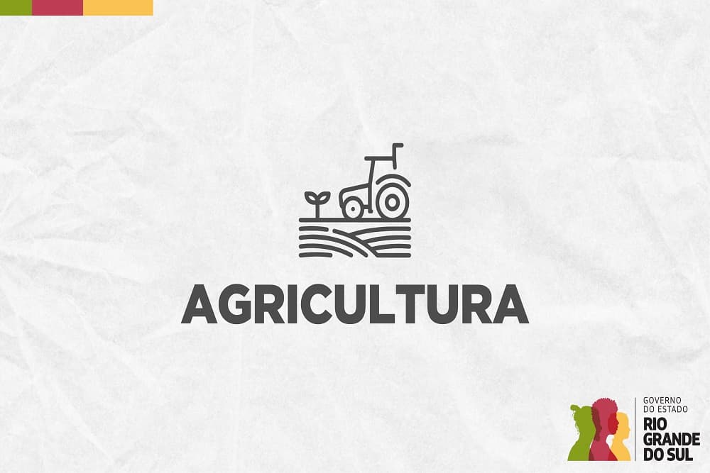 Estado de emergência zoossanitária para enfrentamento da gripe aviária é prorrogado