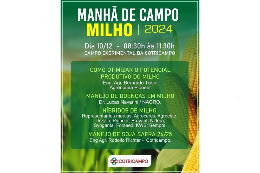 Detec Cotricampo promoverá Manhã de Campo Milho 2024, no próximo dia 10 de dezembro