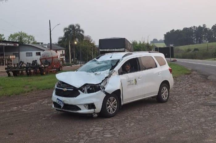 Cavalo é atropelado por carro da prefeitura de Passo Fundo em Cruz Alta