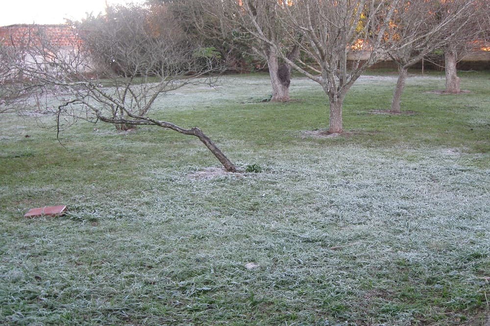 Quinta-feira começa com chuva, antes da chegada do frio intenso