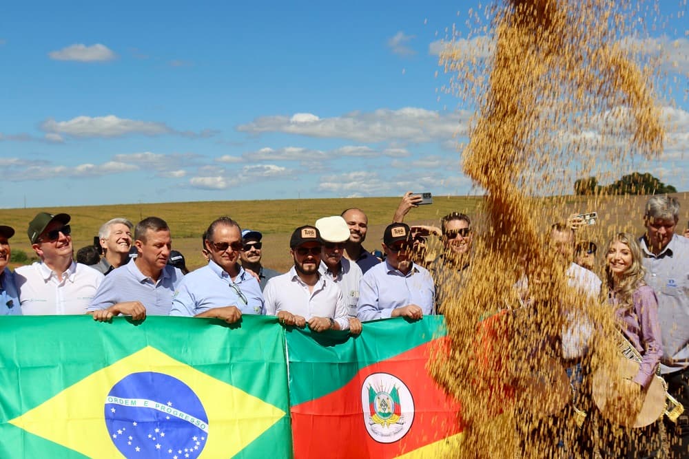 Otimismo marca abertura oficial da colheita da soja no Estado