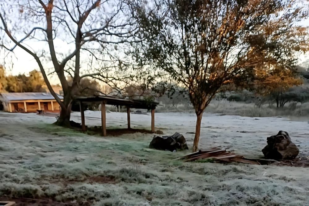 Frio intenso: Terça-feira começa com -1,2ºC em Santo Augusto, segundo Inmet