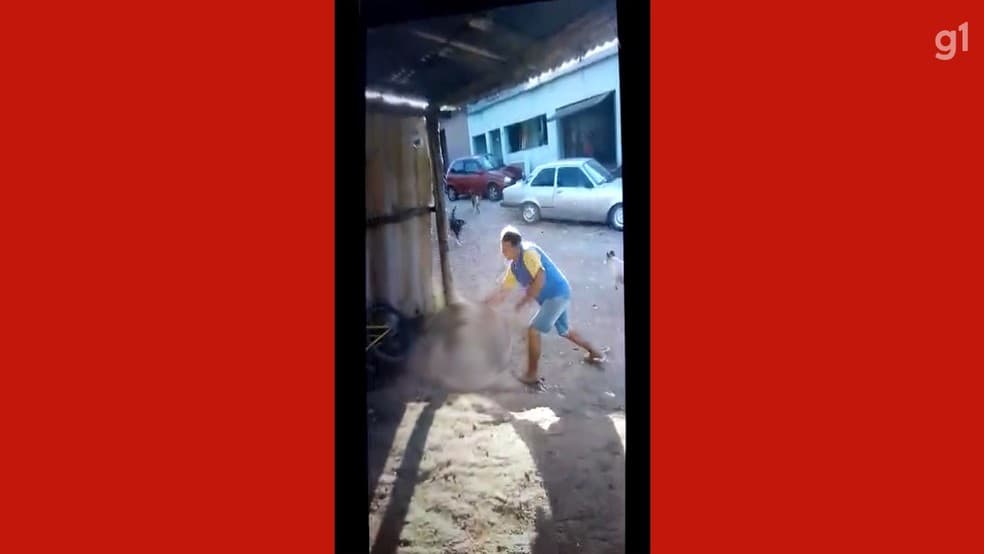 Homem é preso por espancar gato até a morte em Caçapava do Sul