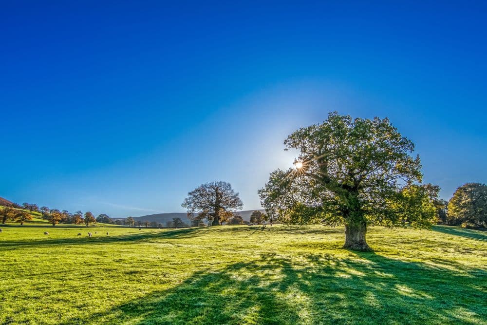 Santo Augusto terá dia de sol com temperaturas agradáveis na tarde desta sexta-feira