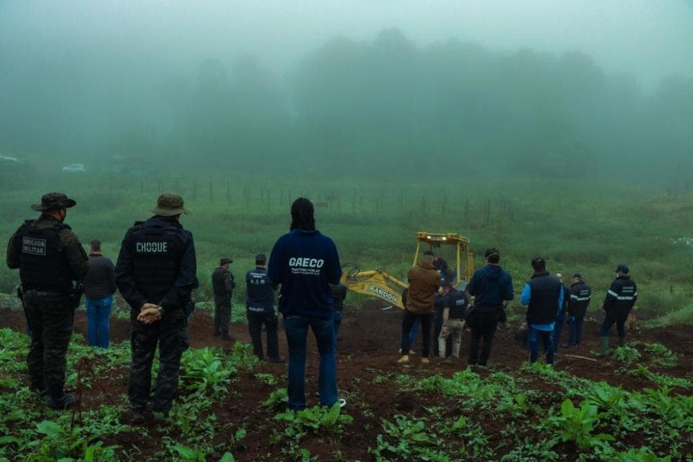 Ministério Público denuncia dez pessoas por abate e comércio ilegal de carne de cavalo em Caxias do Sul