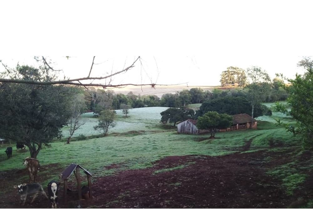 Frio de 1,5ºC trouxe geada para Santo Augusto