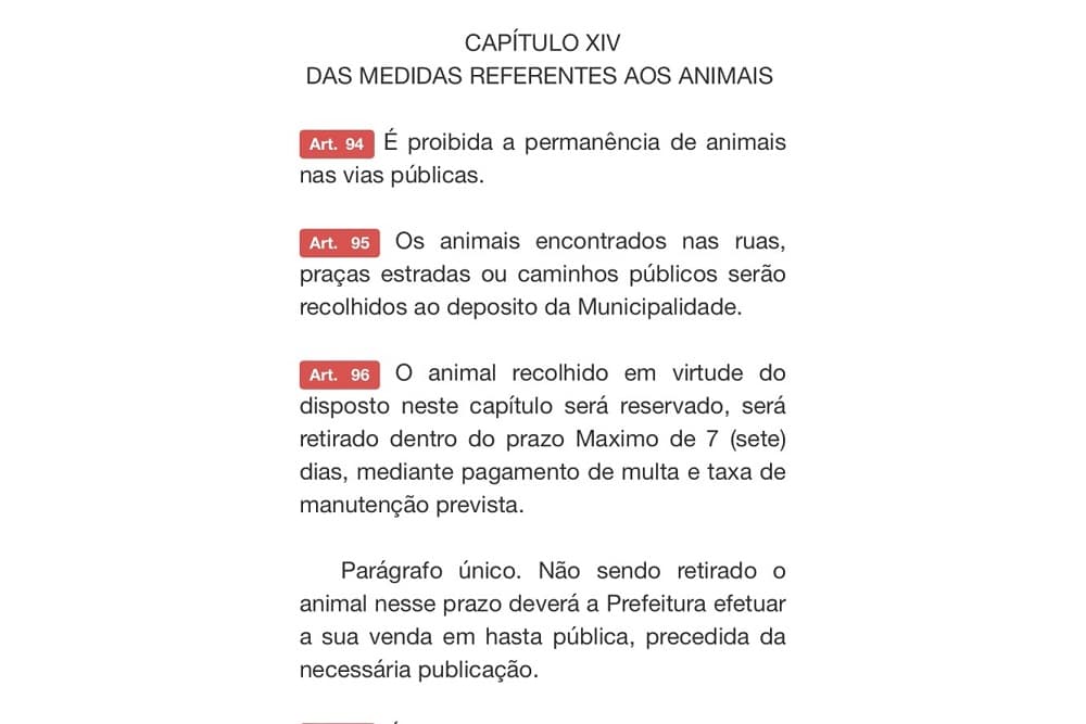 Cavalos soltos nas ruas poderão ser recolhidos pela Prefeitura