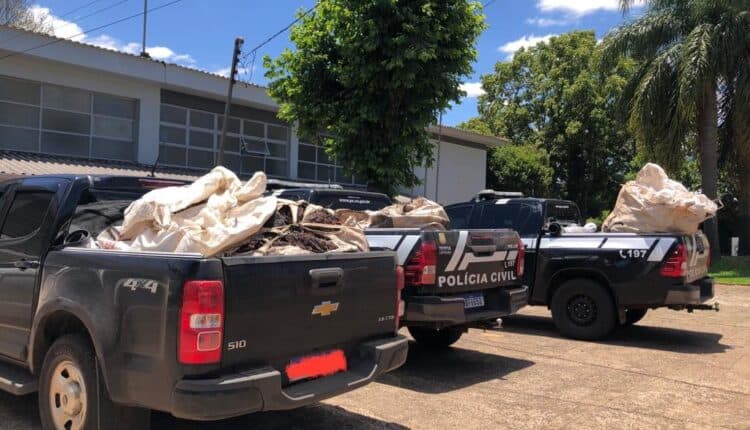 Polícia Civil realizou operação “Blackout” contra crimes de furtos a pivôs e transformadores