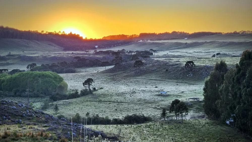 Serra de SC amanhece com temperaturas abaixo de 3ºC e geada
