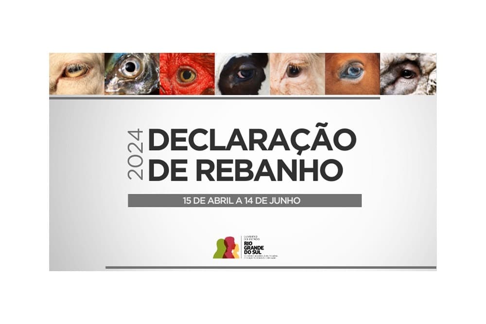 Aberto prazo para Declaração de Rebanho 2024; saiba como fazer