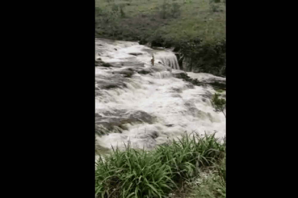 Cabeça D' Água mata banhistas em Minhas Gerais