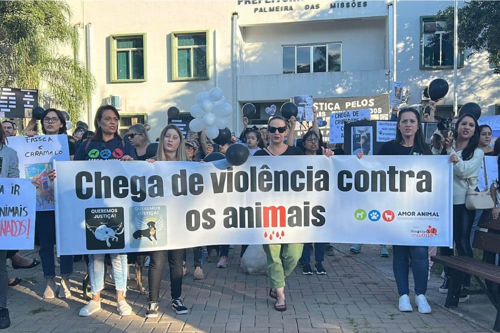 Moradores protestam e pedem justiça após 15 casos de cães envenenados em Palmeira das Missões