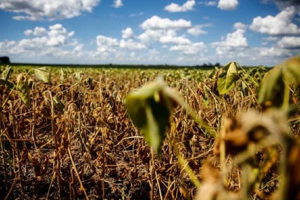 RS registra áreas livres de seca pela primeira vez desde novembro do ano passado