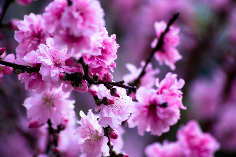 Última semana do inverno tem nova onda de calor pelo país; veja previsão