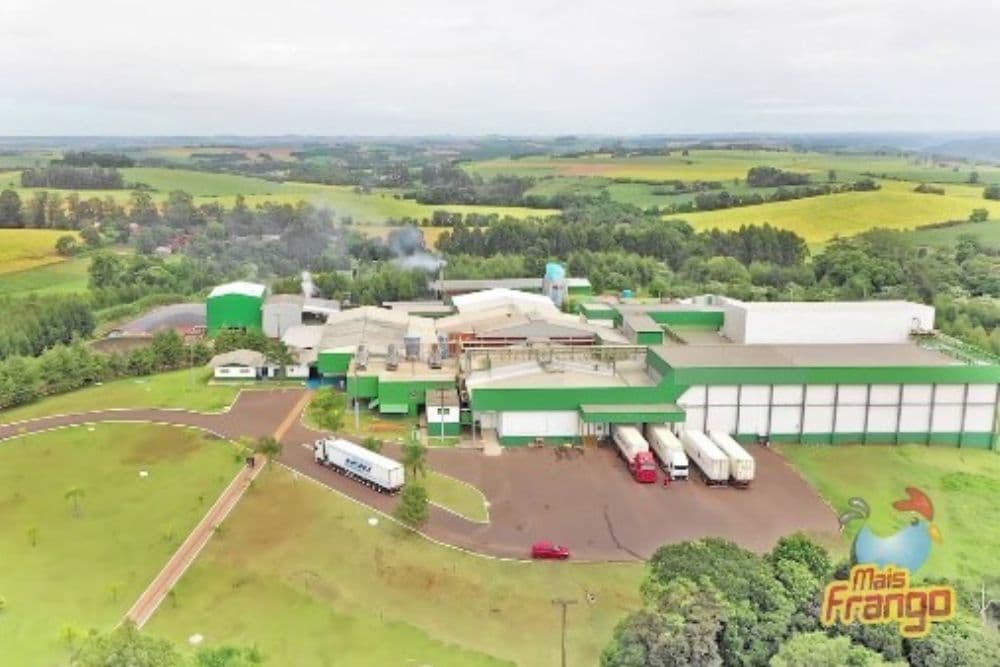 Mais Frango tem 250 vagas de empregos em Miraguaí