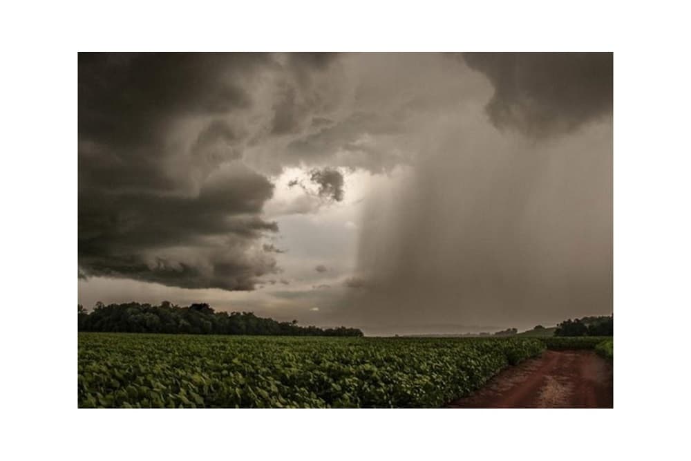 El Niño dá indícios de trégua, mas pode ainda influenciar a colheita de verão