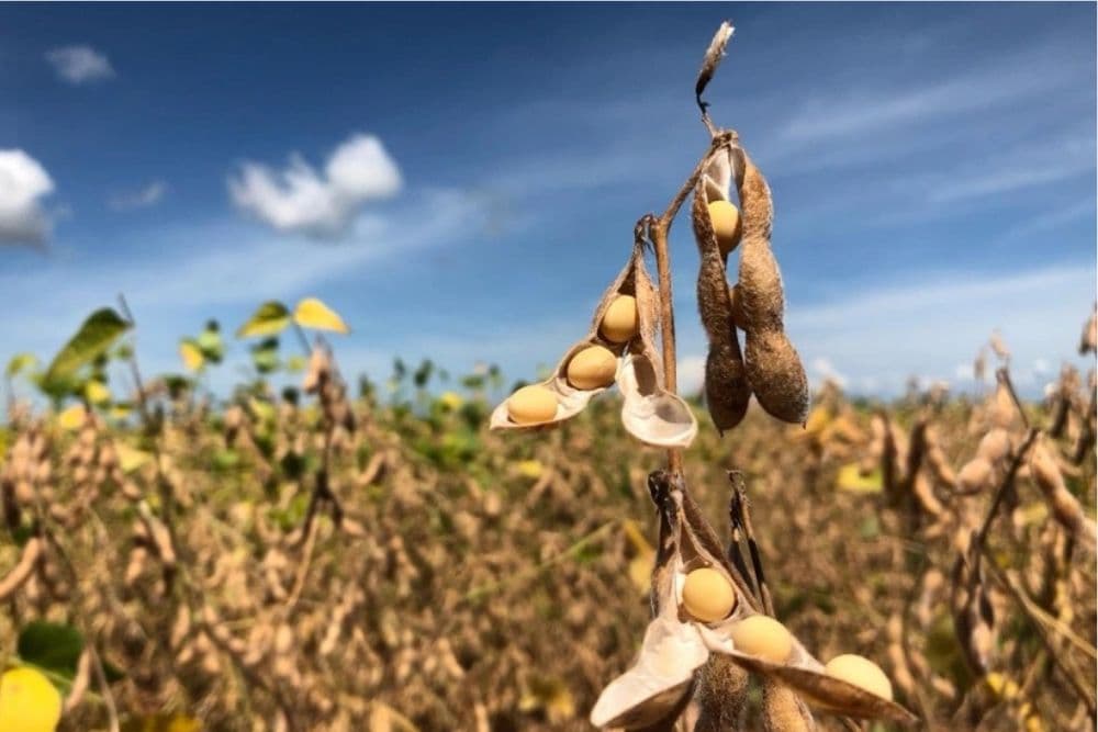 Fetag divulga nota sobre suspensão de financiamentos