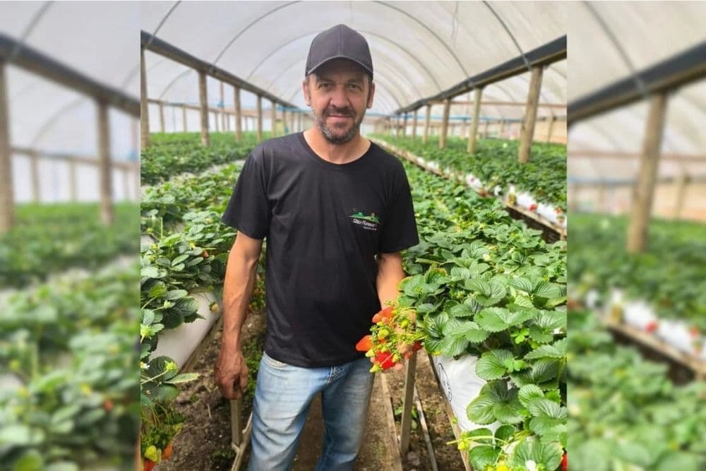 BM seguiu pista errada em operação que terminou na morte de agricultor inocente