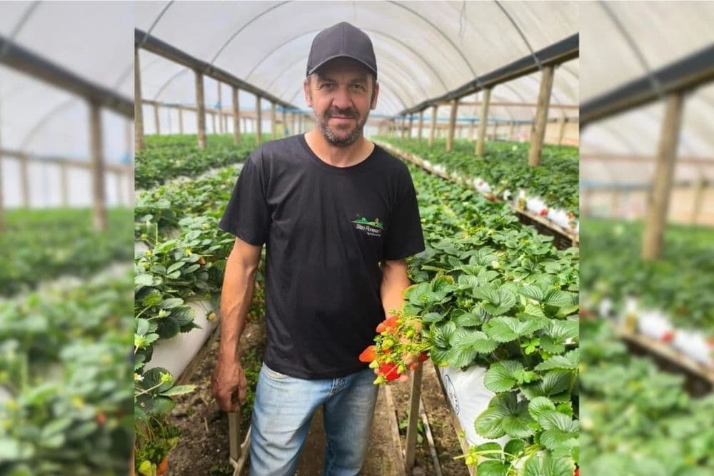 Propriedade de agricultor morto em ação da BM era diferente da descrição de informante; veja o que a investigação já apurou