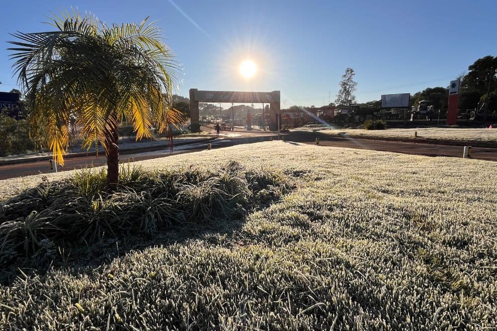 FOTOS|Feriado de São João Batista amanhece com geada e temperatura negativa em Santo Augusto